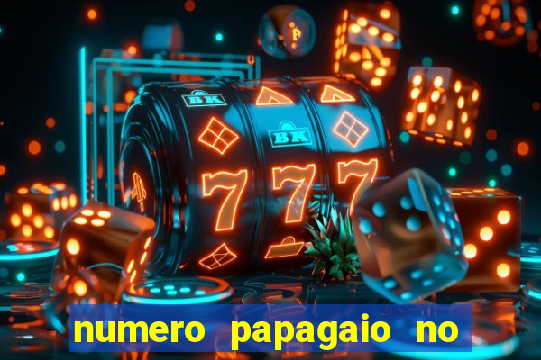 numero papagaio no jogo do bicho